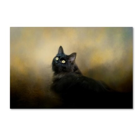 Trademark Fine Art